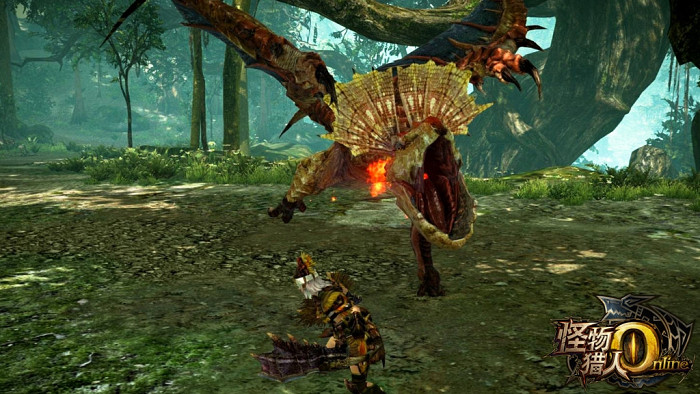 Скриншот из игры Monster Hunter Online