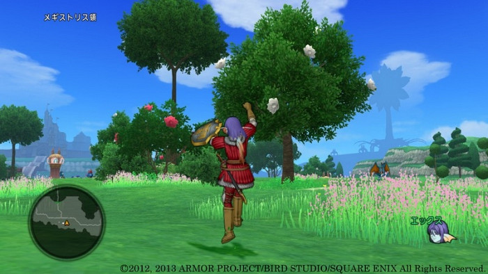 Скриншот из игры Dragon Quest X