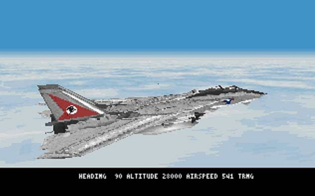Обложка для игры Fleet Defender: F-14 Tomcat