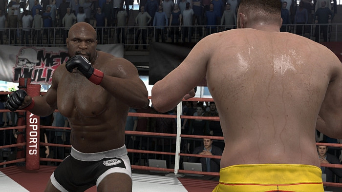 Скриншот из игры EA Sports MMA