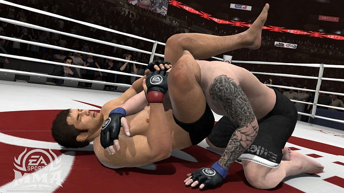 Скриншот из игры EA Sports MMA