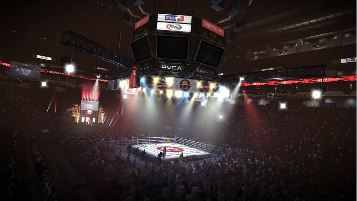 Скриншот из игры EA Sports MMA