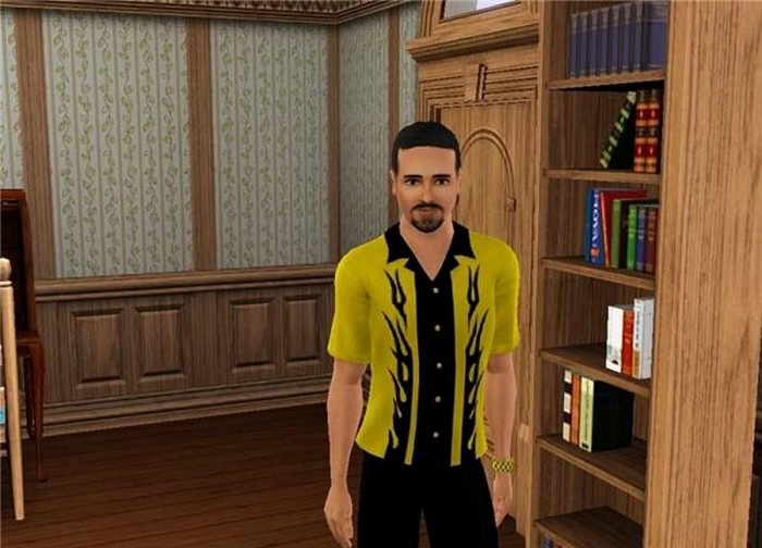 Скриншот из игры Sims 3: Fast Lane Stuff, The