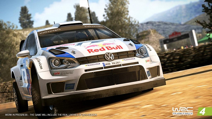 Скриншот из игры WRC 4: FIA World Rally Championship