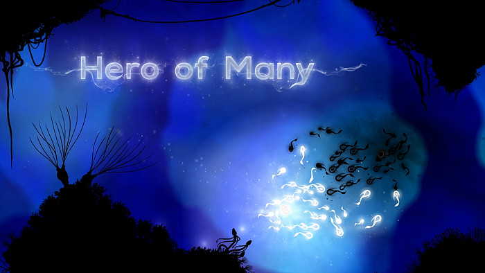 Скриншот из игры Hero of Many