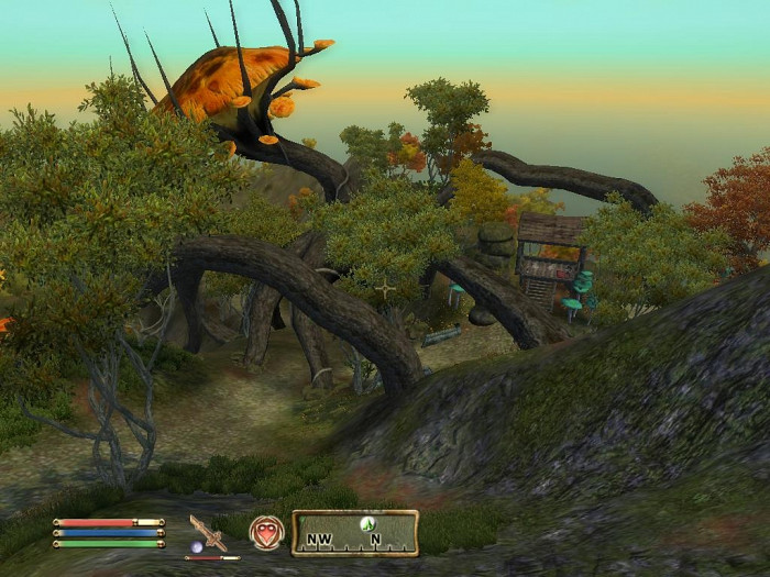 Скриншот из игры Elder Scrolls 4: Shivering Isles, The