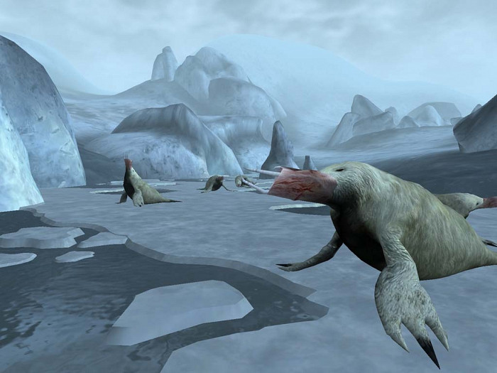 Скриншот из игры Elder Scrolls 3: Bloodmoon, The