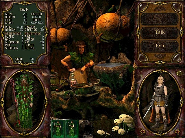 Скриншот из игры Rage of Mages 2: Necromancer