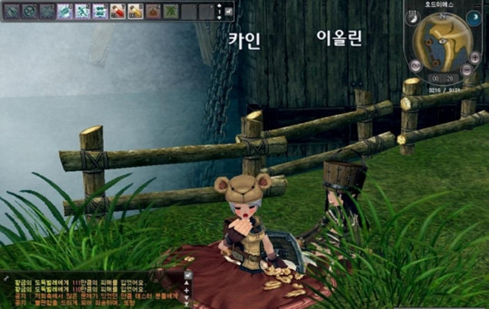 Скриншот из игры Ragnarok Online 2: The Gate of the World