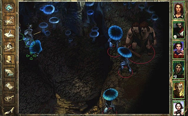 Скриншот из игры Icewind Dale