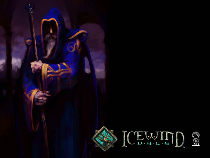 Скриншот из игры Icewind Dale