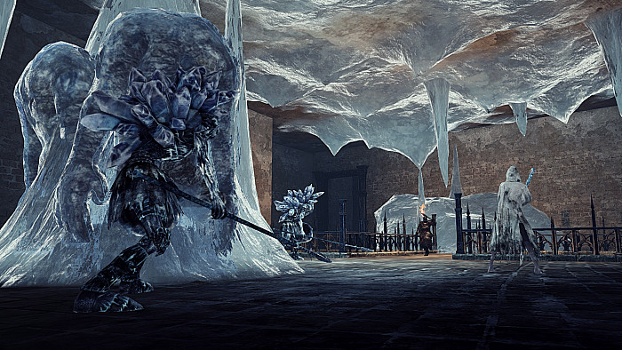 Скриншот из игры Dark Souls 2: Crown of the Ivory King