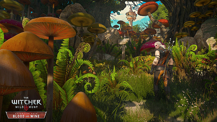 Скриншот из игры Witcher 3: Wild Hunt - Blood and Wine, The
