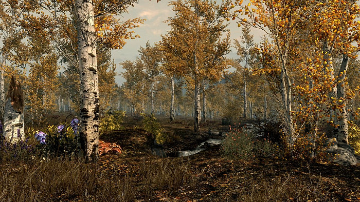 Скриншот из игры Falskaar