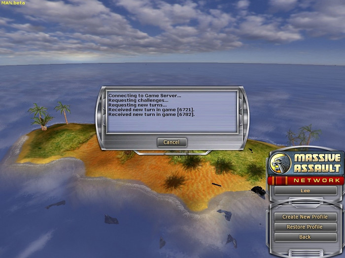 Скриншот из игры Massive Assault Network