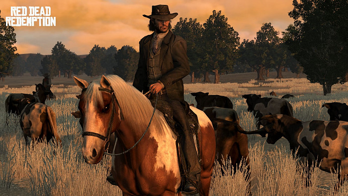 Скриншот из игры Red Dead Redemption