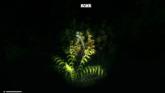 Скриншот из игры Rake
