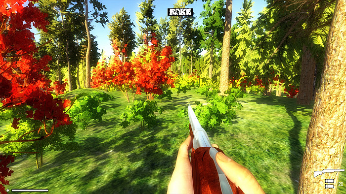 Скриншот из игры Rake