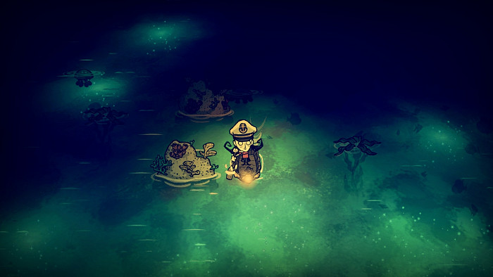 Скриншот из игры Don't Starve: Shipwrecked