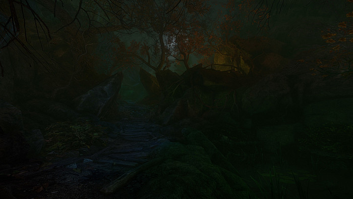 Скриншот из игры Cursed Forest, The