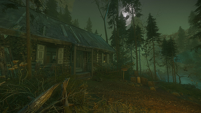Скриншот из игры Cursed Forest, The