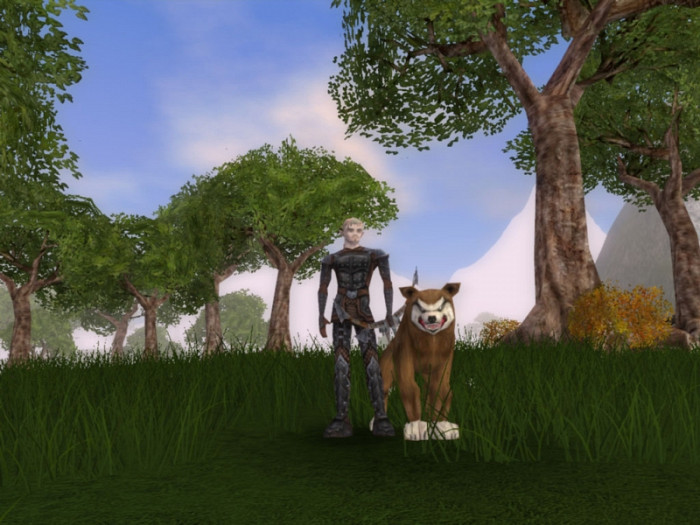 Скриншот из игры Regnum Online