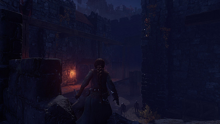 Скриншот из игры Shadwen
