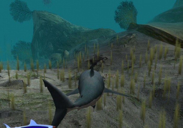 Скриншот из игры Jaws Unleashed
