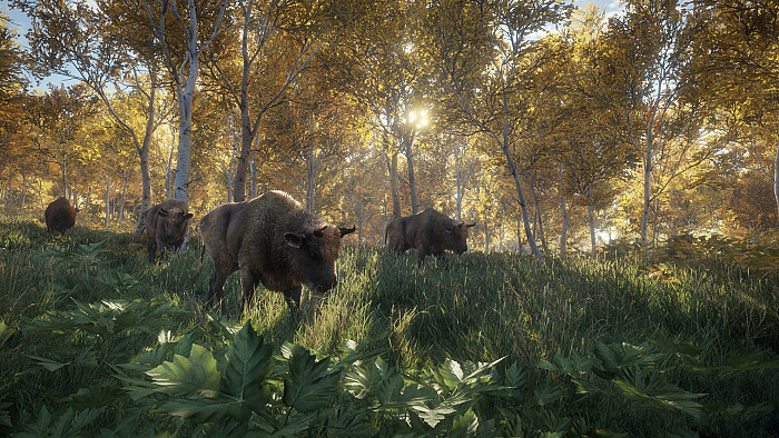 Скриншот из игры theHunter: Call of the Wild