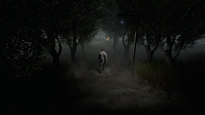 Скриншот из игры Roots of Insanity