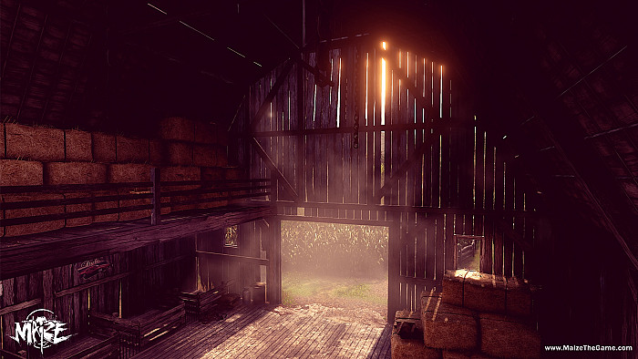 Скриншот из игры Maize