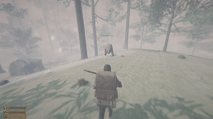 Скриншот из игры Northern Regime