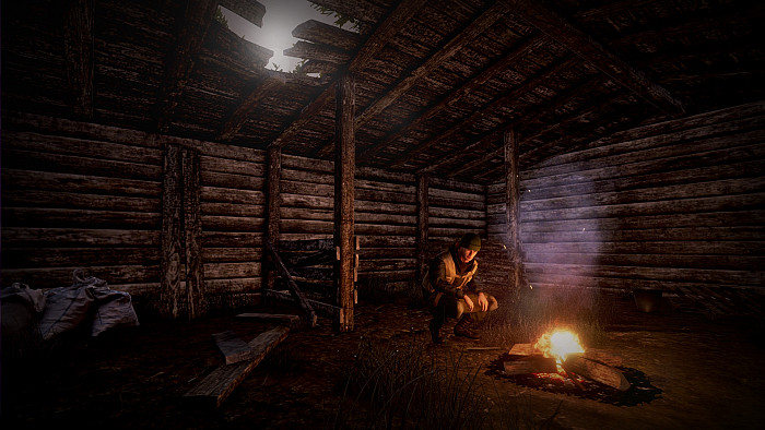 Скриншот из игры Next Day: Survival