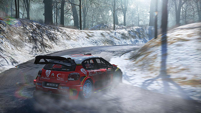 Скриншот из игры WRC 7 FIA World Rally Championship