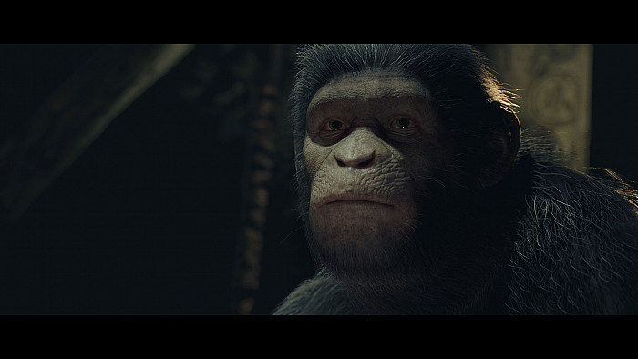 Скриншот из игры Planet of the Apes: Last Frontier