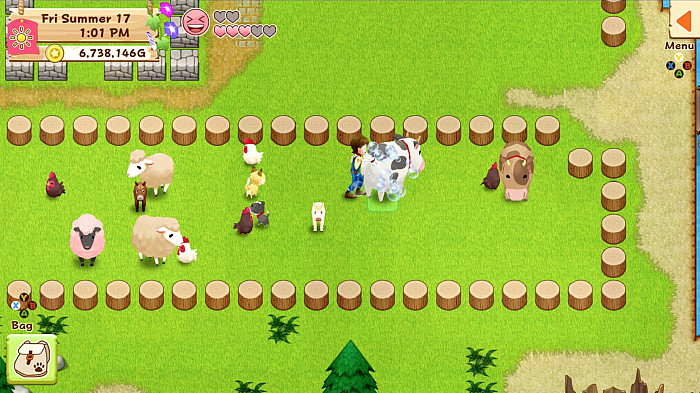 Скриншот из игры Harvest Moon: Light of Hope