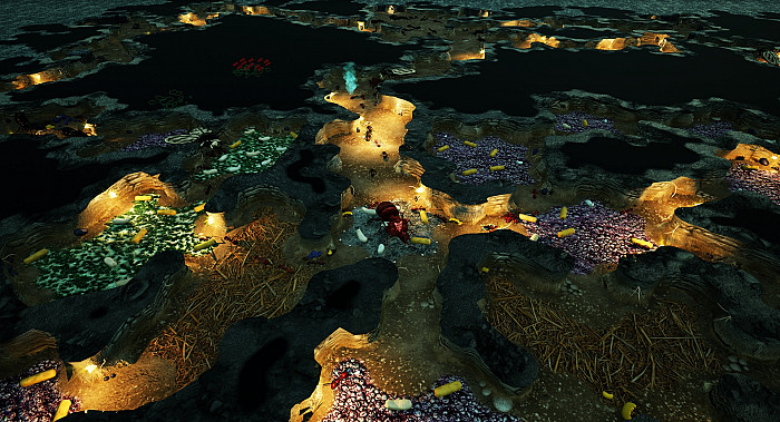 Скриншот из игры Empires of the Undergrowth
