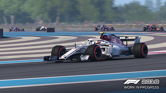 Скриншот из игры F1 2018