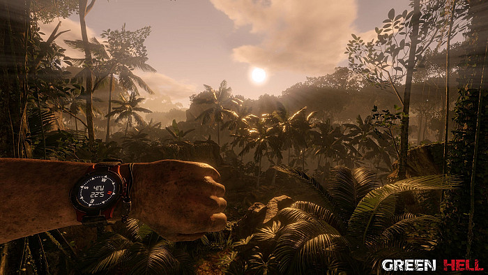 Скриншот из игры Green Hell