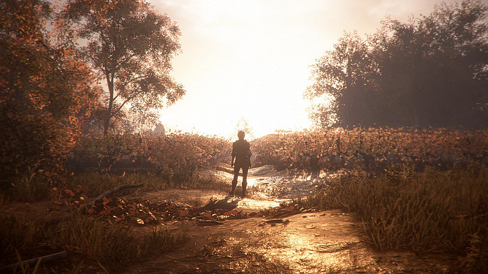 Скриншот из игры A Plague Tale: Innocence