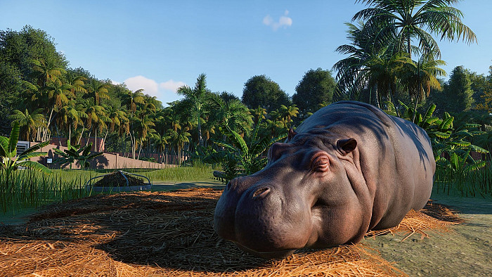 Скриншот из игры Planet Zoo