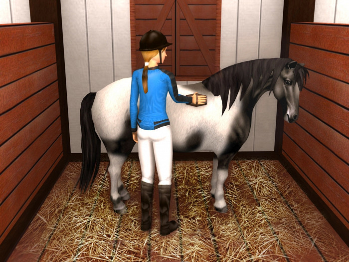 Скриншот из игры Riders World Competition