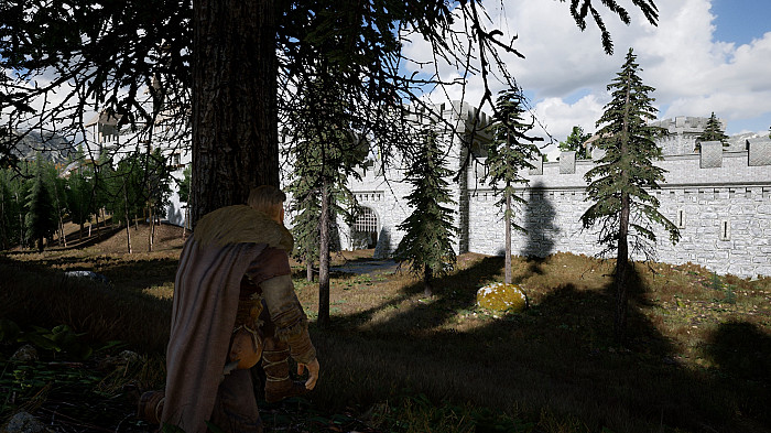 Скриншот из игры VALHALL