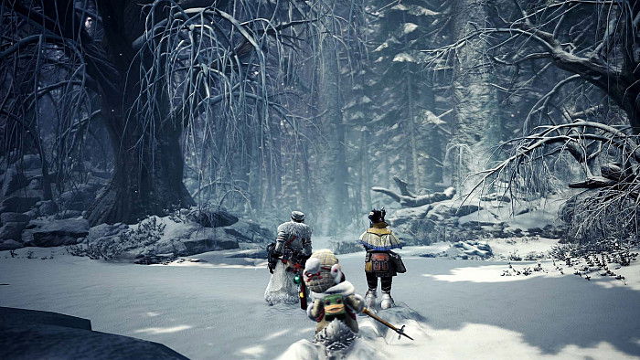 Скриншот из игры Monster Hunter: World - Iceborne