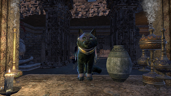 Скриншот из игры Elder Scrolls Online: Elsweyr, The