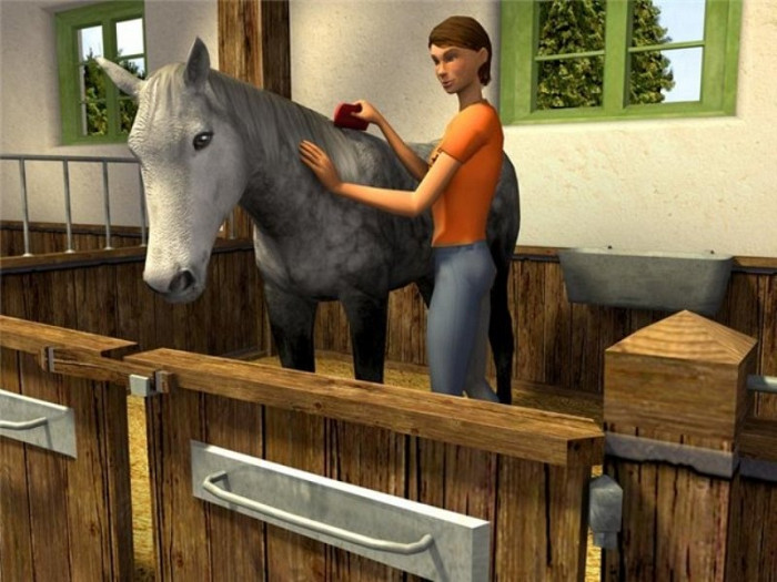 Скриншот из игры Riding Star 3