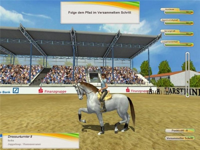 Скриншот из игры Riding Star 3
