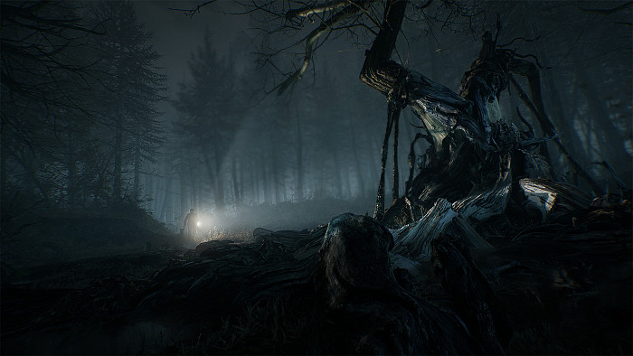 Скриншот из игры Blair Witch