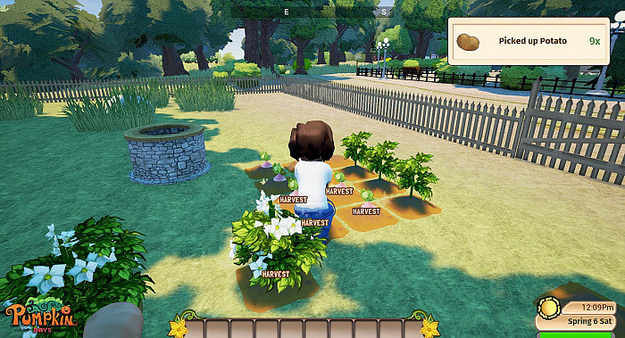 Скриншот из игры Pumpkin Days