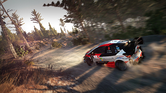 Скриншот из игры WRC 8